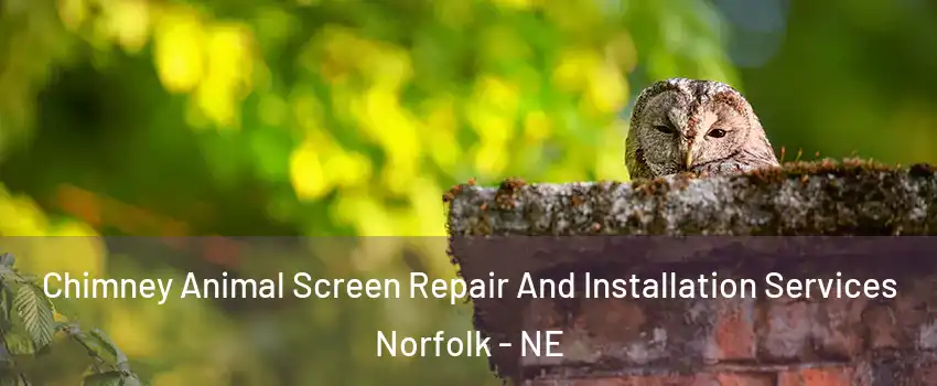  Chimney Animal Screen Repair And Installation Services Norfolk - NE