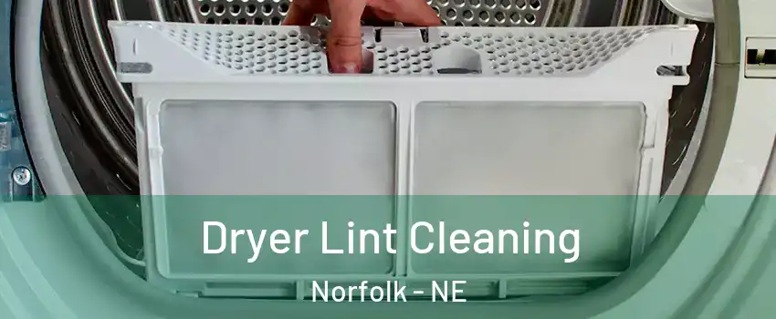  Dryer Lint Cleaning Norfolk - NE