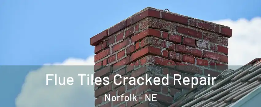  Flue Tiles Cracked Repair Norfolk - NE