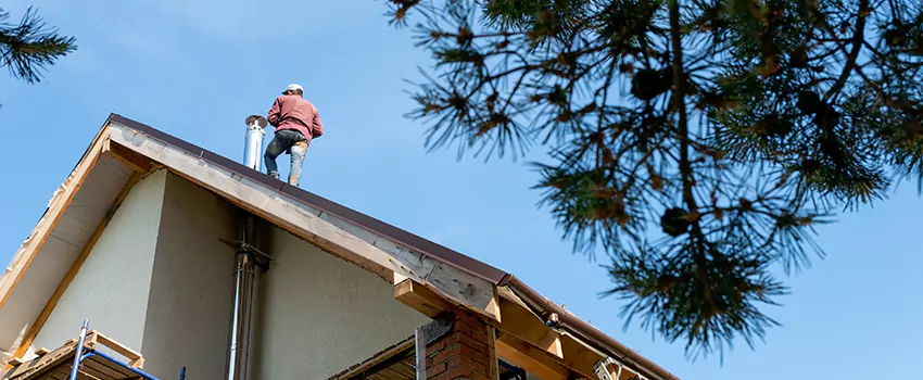 Birds Removal Contractors from Chimney in Norfolk, NE