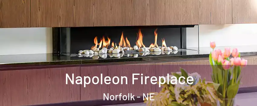  Napoleon Fireplace Norfolk - NE