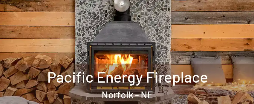  Pacific Energy Fireplace Norfolk - NE